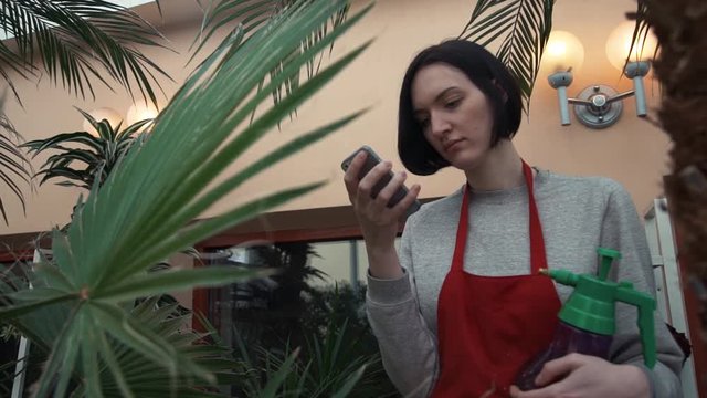 Portrait of young woman gardener in red apron using smartphone in greenhouse