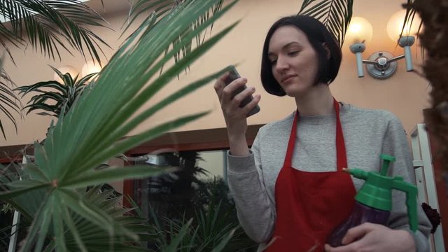 Young woman gardener in red apron chatting online using smartphone in greenhouse