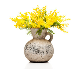Bouquet flowers mimosa in a vase on a white background