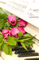 Pink tulips and notes. Pink tulips on white piano