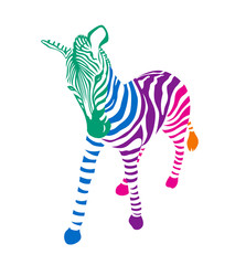 Striped colorful  Zebra.  Wild animal texture. Illustration isolated on white background.