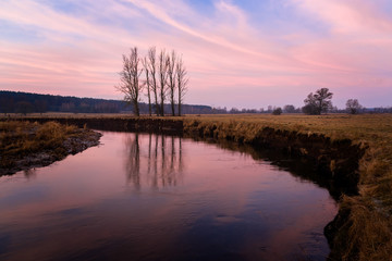 Fototapeta na wymiar Przedwiosenny poranek nad rzeką Supraśl