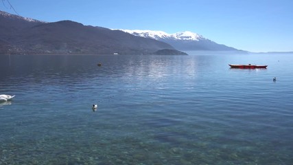Swan and kayak in Ohrid Lake on sunny day, Macedonia