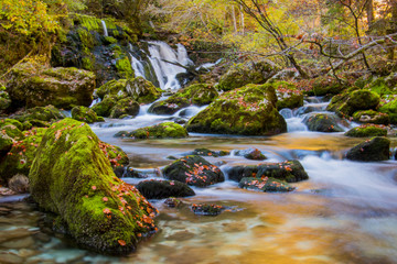 beautiful flowing river Bistrica in autumn