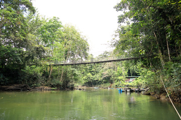 Fototapeta na wymiar Suspension Bridge at Gunung Mulu National Park, Malaysia