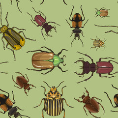Set of beetle illustrations pattern