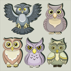 Set of color owls