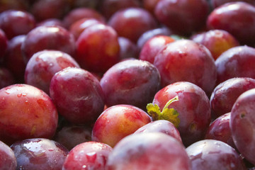 Plums pattern. correct and healthy eating. Vitamins