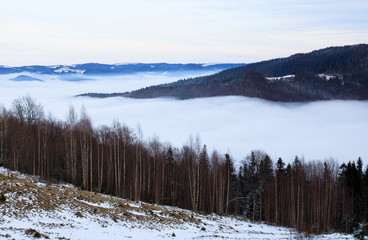 low white clouds in the winter mountains. fog in the ravine