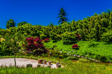 Jardin Japonais.