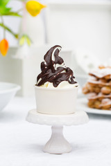 Frozen Yoghurt mit Schokolade