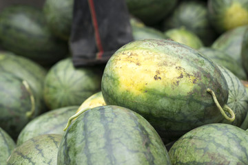 Closeup a water melon fruit organic