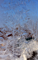 winter pattern on the glass