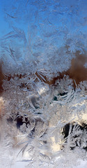 winter pattern on the glass