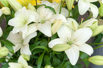 Bunch of flowers
