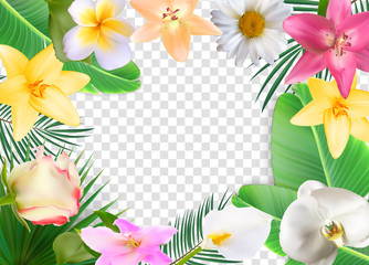 Summer Natural Floral Frame on Transparent Background Vector Illustration