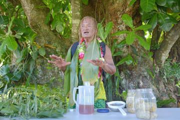 Fototapeta premium Cook Islander explains about the Noni Juice benefits on Eco tourism tour in Rarotonga Cook Islands