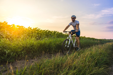 male cyclist riding a bicycle between fields in summer at sunset
