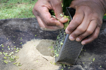Cook Islander man prepares Kava drink in Rarotonga Cook Island - obrazy, fototapety, plakaty