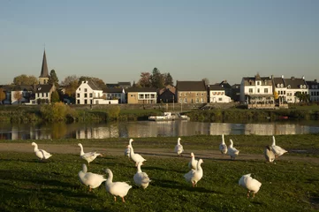 Foto auf Acrylglas Gezicht op Eijsden in zuid-limurg © twanwiermans