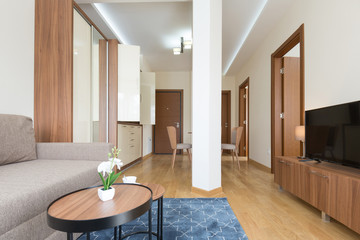 Interior of a hotel apartment, living room area