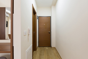 Entrance corridor, apartment interior