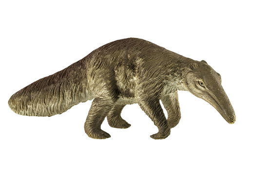 Figure of the anteater
