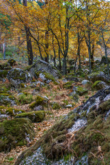 Serra da Estrela, Portugal	