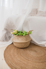 Wicker basket with green tulips. Home