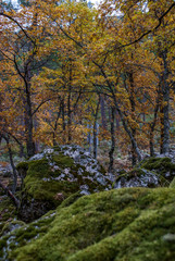Serra da Estrela, Portugal	
