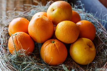 Healthy fruits, orange fruits background many orange fruits - orange fruit background