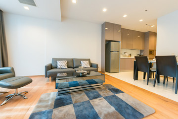 Modern spacious lounge or living room interior