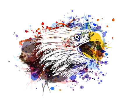 Vector color illustration of an eagle head