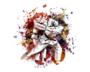 Vector color illustration of judo fighters - obrazy, fototapety, plakaty