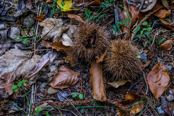 Serra da Estrela, Portugal	