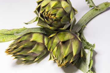 Obraz premium Spiny artichokes of Sardegna