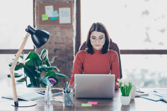 Boss chief people person accountant professional successful leadership concept. Clever concentrated focused pretty cute it-specialist updating using searching information netbook sitting in light room