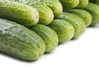 bunch of cucumbers