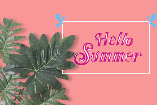 Flat lay, Creative nature tropical leaves frame on pink background. hollo summer concept