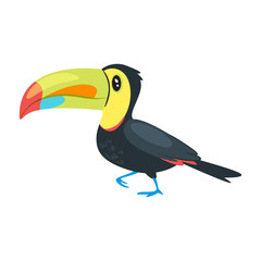 Fototapeta premium zoo animal - toucan