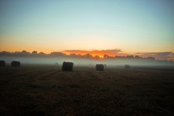  field fog at dawn