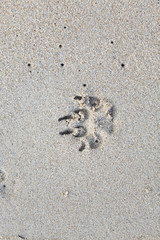 different kinds of stone, metal structures and backgrounds of thailand, koh samui