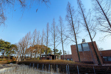 Fototapeta na wymiar View of the Seonyudo Park in Seoul, South Korea