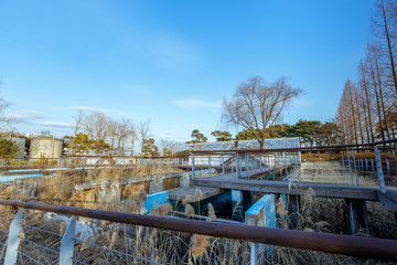 View of the Seonyudo Park in Seoul, South Korea