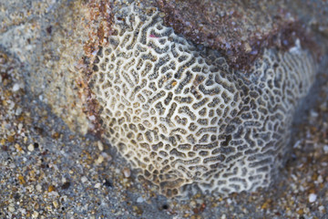 different kinds of stone, metal structures and backgrounds of thailand, koh samui