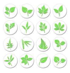 Green Leafs Plant Symbols, Stylised Selection of Vibrant Leaf Icons