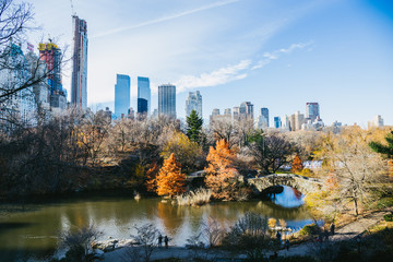 New York City Central Park im Winter mit Herbstlaub - obrazy, fototapety, plakaty