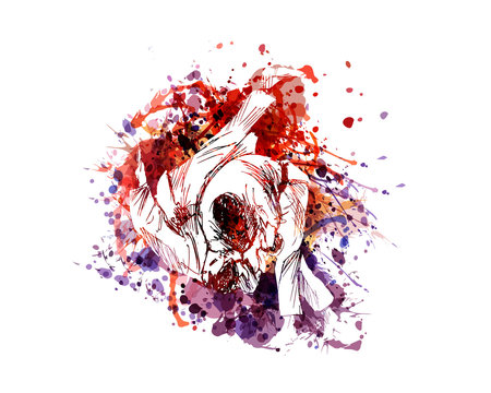 Vector color illustration of judo fighters