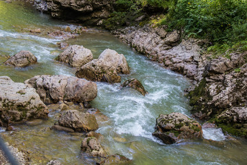 Naklejka na ściany i meble Mountain river flowing through the green forest and many stones
