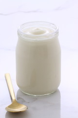 vintage plain yogurt